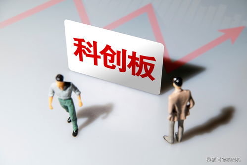 一波三折上市路 創業板失敗之后,諾禾致源再次向科創板遞交上市申請